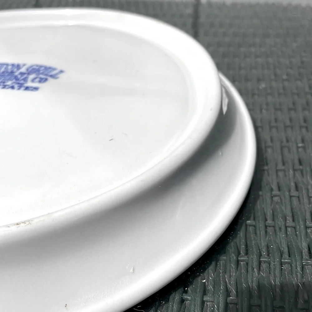 Blue Willow Grafton Grill Plate 9.5”  Vintage 1950’s Made by Carr China Co. EUC
